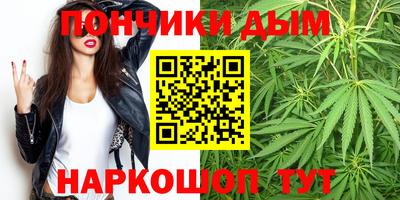 стафф Гатчина