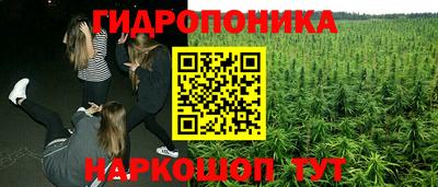 стафф Гатчина