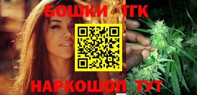 стафф Гатчина