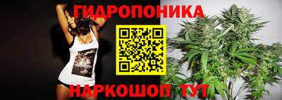 стафф Гатчина