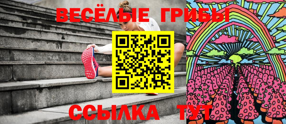 Псилоцибиновые грибы Magic Shrooms  Вход с VPN  где купить наркоту  Ростов-на-Дону 